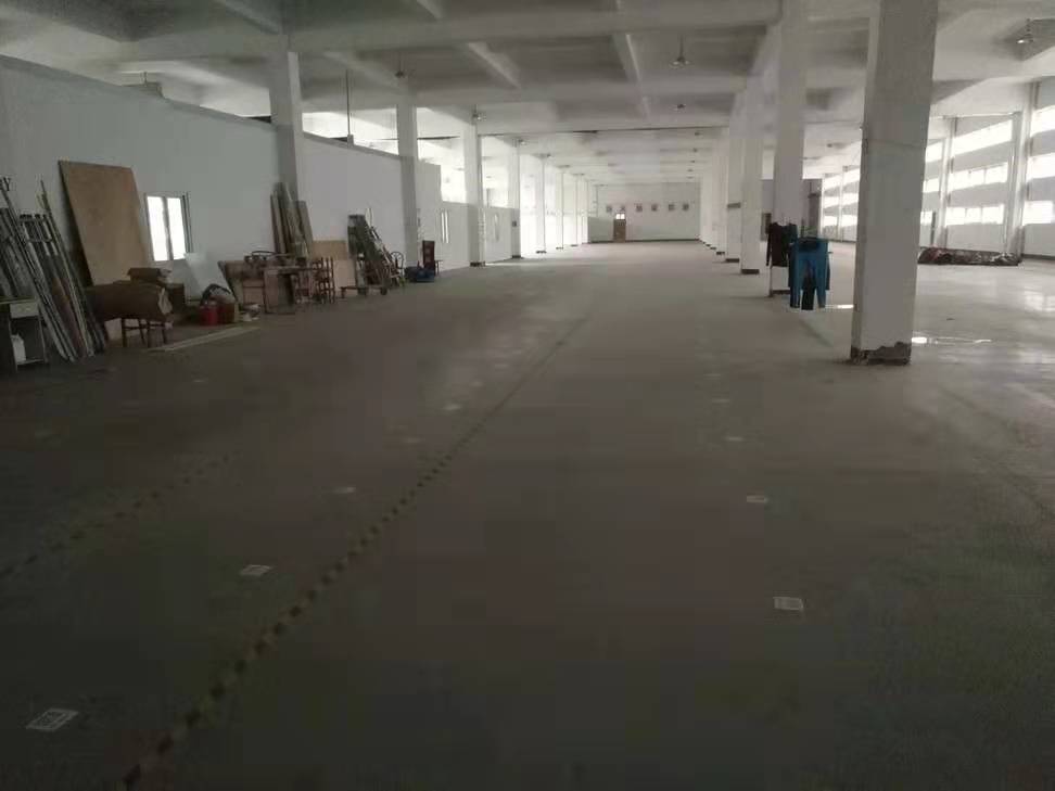 大桥独门独院厂房仓库出租，急租！可分租，价格便宜，形象好-图3