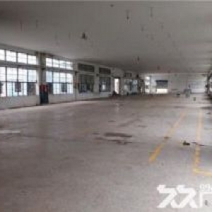 出租海宁周王庙1700方厂房 交通便利