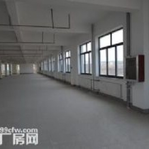 许巷13000方厂房 1600方起租 