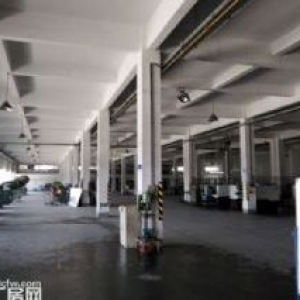 新仓或周边4000平方单层厂房，可分租，可做塑料，造粒，色母