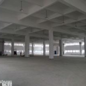 平湖独栋13000平方丙二类厂房出租，喷淋消防，环氧地坪，可