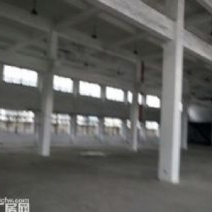 开发区1800平方一楼厂房仓库出租，高6米，500起租