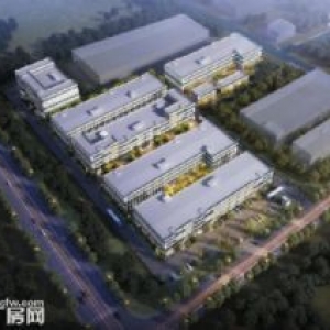 独家呈现 不买就是您的损失