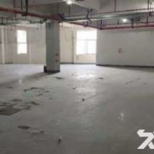 海宁连杭开发区 下沙奥特莱斯附近 厂