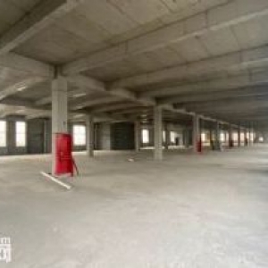 环沪嘉兴大健康类厂房招商 首付两层可按揭Q