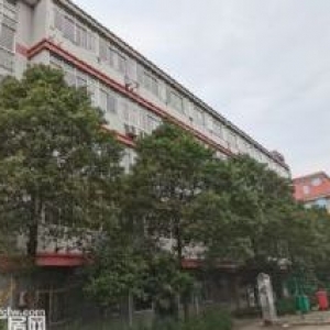 出售桐乡青石18亩土地