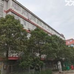 出售桐乡青石41亩土地