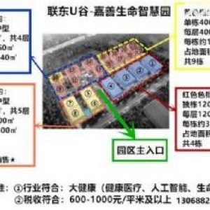 园区独栋厂房出售，50年产权分割到户