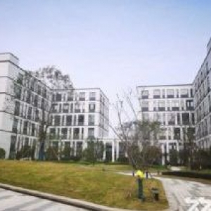 嘉善国家开发区50年产权5000平带院独栋厂房出售,距枫泾4