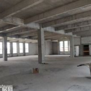 标准厂房 跨度大 钢混结构̳