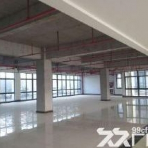 长安镇高新区 下沙高速出口海宁连杭开发区10亩土地  115