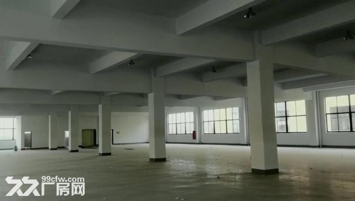 嘉兴海盐全新厂房出租可分租-图2