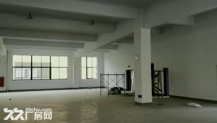 嘉兴海盐全新厂房出租可分租-图4