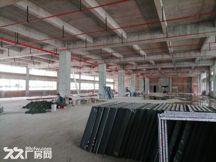 平湖市独山港镇工业区1000平方标准厂房出租-图3