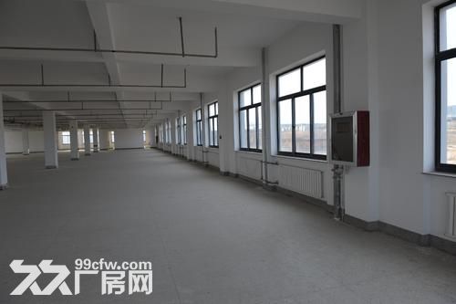 许巷13000方厂房 1600方起租  每层3500方