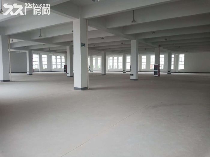 嘉兴油车港4000方独门独院厂房全新出租招商价格18-图5