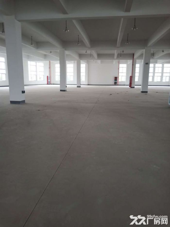 嘉兴油车港4000方独门独院厂房全新出租招商价格18-图4