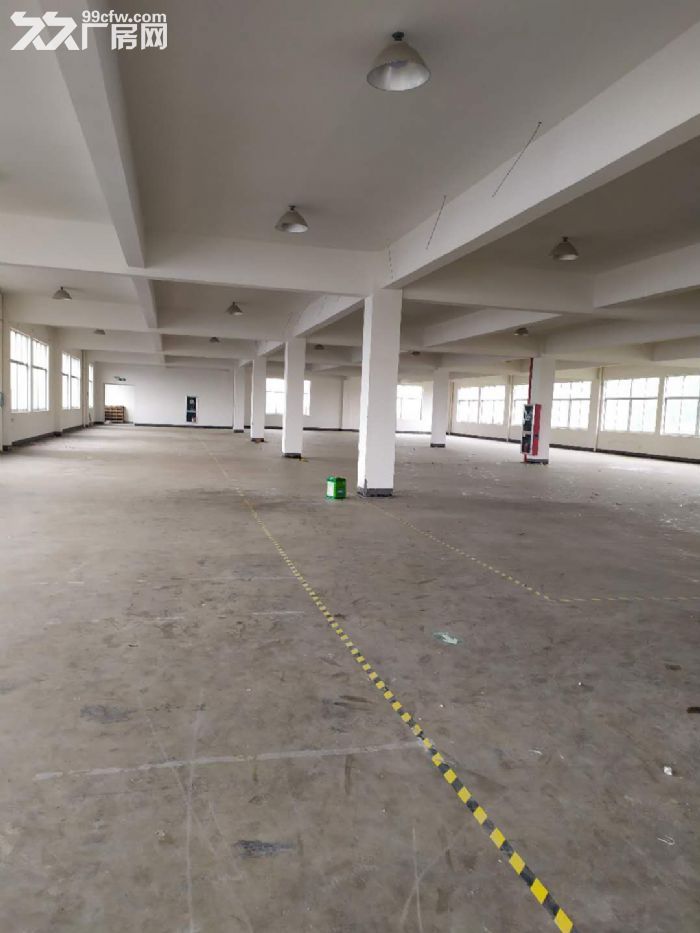 桐乡市石门工业区1800平标准厂房可分租独门独院低价出租！低价出租！-图2