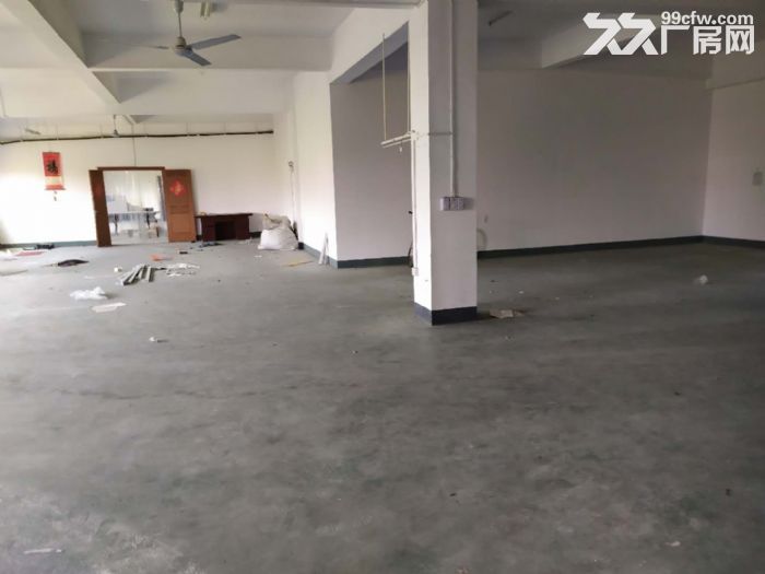 桐乡市石门工业区1800平标准厂房可分租独门独院低价出租！低价出租！-图3