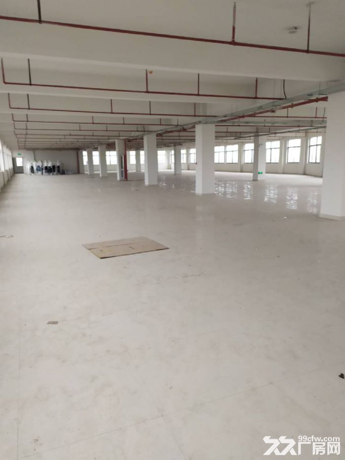 出租桐乡市梧桐工业区6000平全新多层厂房可分租独门独院低价出租！