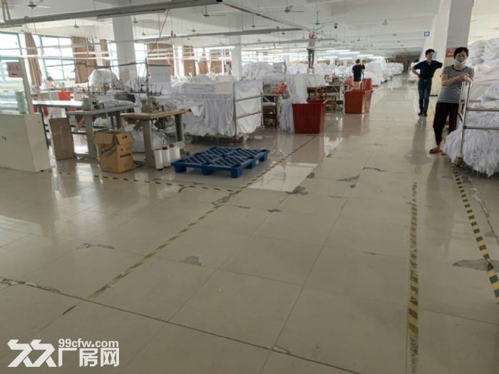 低价出租！濮院1800平标准厂房带蒸汽办公室淘宝仓库低价出租！