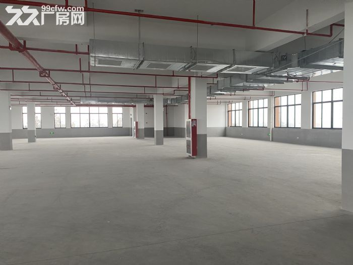 出租桐乡梧桐开发区8000方标准厂房-图2