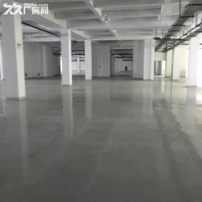 出租桐乡梧桐开发区8000方标准厂房-图3