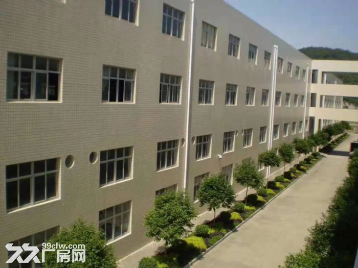 出租桐乡梧桐开发区8000方标准厂房-图4