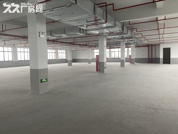 出租桐乡梧桐开发区8000方标准厂房-图5