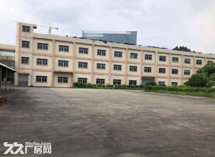出租桐乡梧桐开发区8000方标准厂房-图6