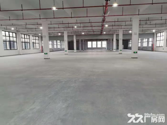嘉兴高照街道离水果市场近的仓库出租2000平米-图6