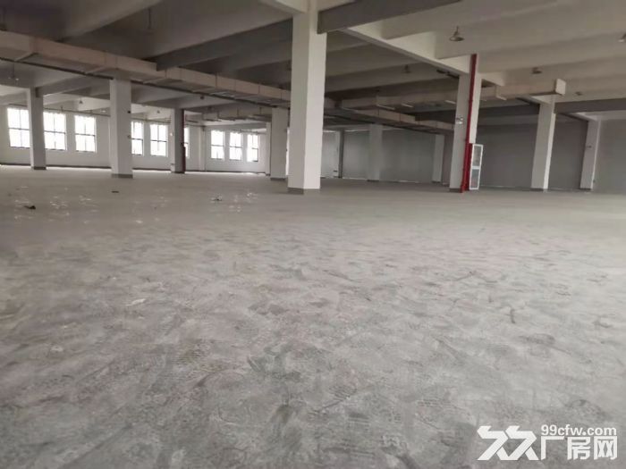 嘉兴高照街道离水果市场近的仓库出租2000平米-图5