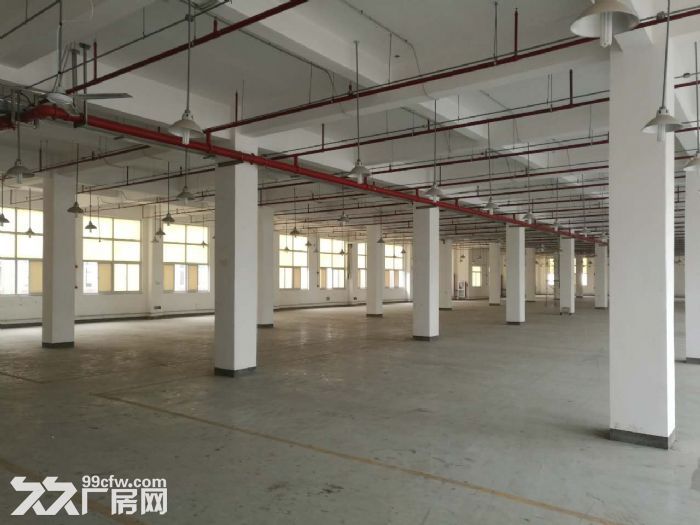 嘉兴市南湖区标准新建厂房出租面积底楼5400平米楼上4600平米-图3