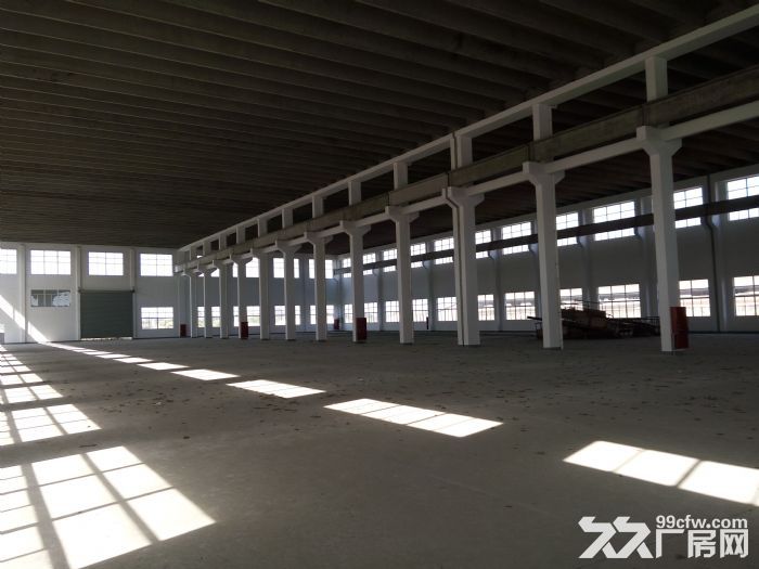 平湖开发区2300平方单层厂房出租，电400KVA，可分租，有蒸汽天然气-图2
