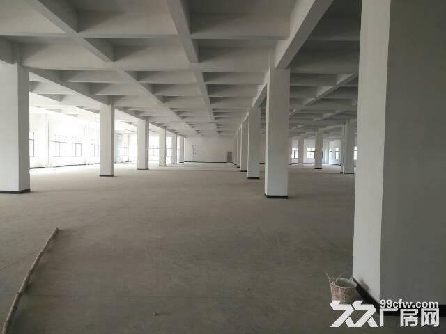 海宁斜桥1800方1楼厂房出租，价格22元
