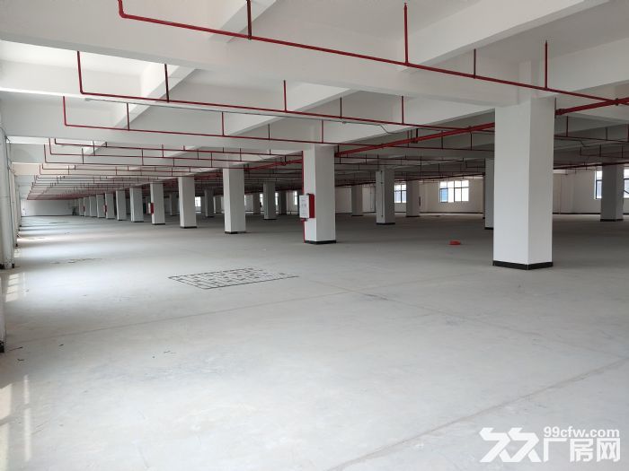 海宁斜桥1800方1楼厂房出租，价格22元-图2