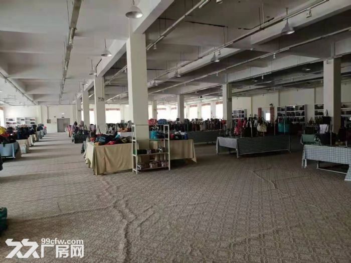 桐乡周边石门独栋标准厂房出租面积3900平-图2