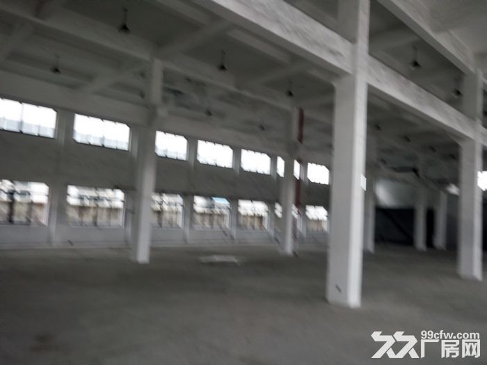 平湖600平方独门独院单层厂房出租，可做五金，机械，纸箱，仓库-图2