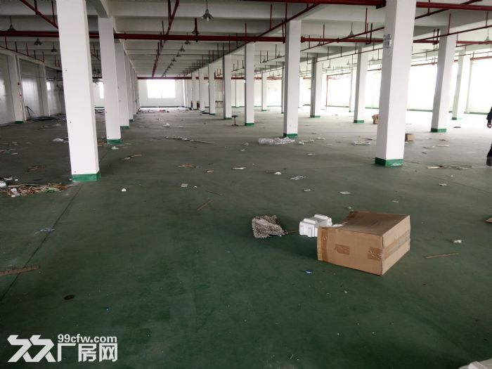 平湖独栋13000平方丙二类厂房出租，喷淋消防，环氧地坪，可分租-图2