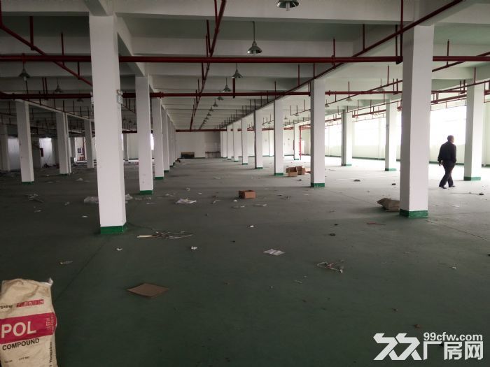 平湖独栋13000平方丙二类厂房出租，喷淋消防，环氧地坪，可分租-图3
