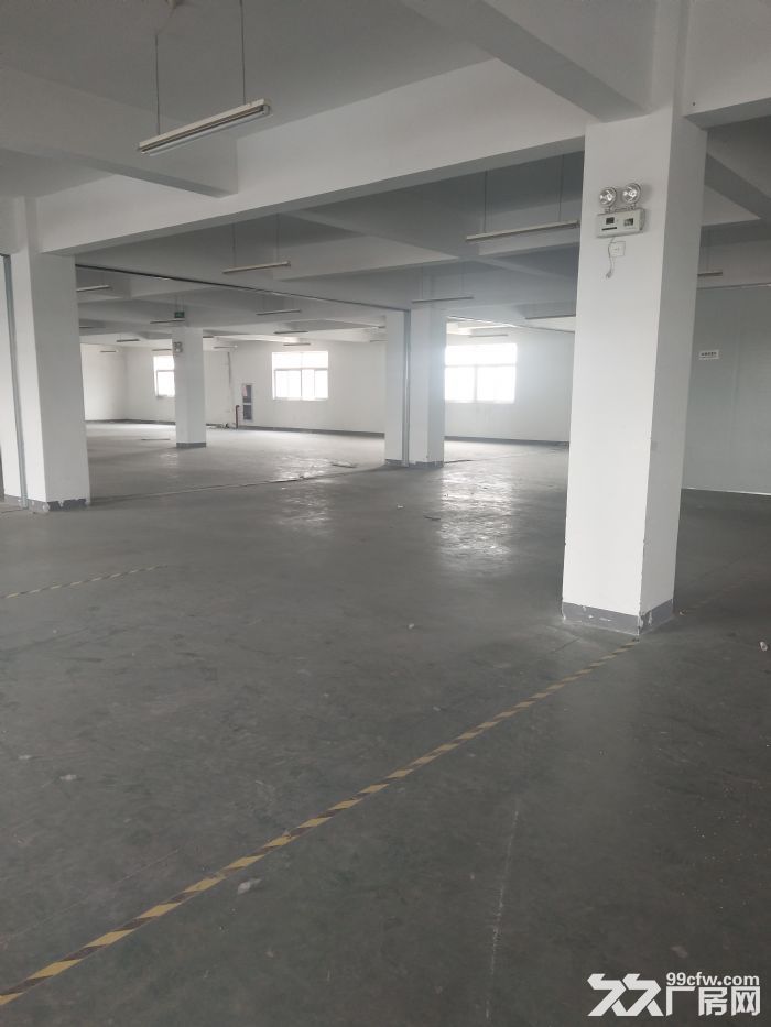 出租桐乡崇福2057平方全新厂房