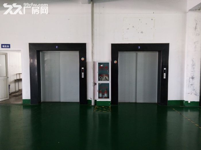 新仓4200平厂房可做印刷包装，纸箱注塑，塑料制品等，可分租