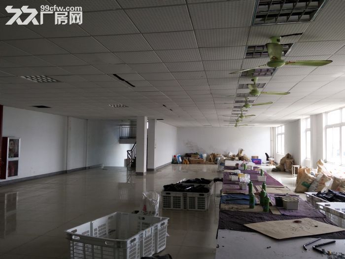 开发区2890平独门独院厂房，一楼高8米，有货梯，可做多种行业-图2