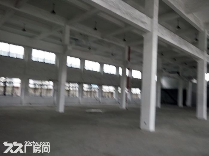 开发区1800平方一楼厂房仓库出租，高6米，500起租