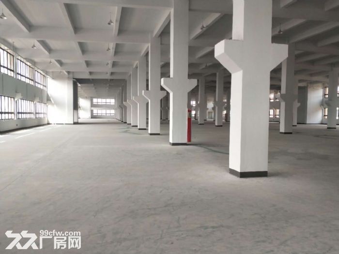 平湖市广陈工业区双层厂房独门独院面积12000平，可分租-图3