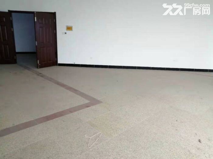 招商外贸企业，新埭洁城路500平，可协助办证有专项扶持政策