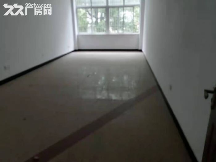 招商外贸企业，新埭洁城路500平，可协助办证有专项扶持政策-图3