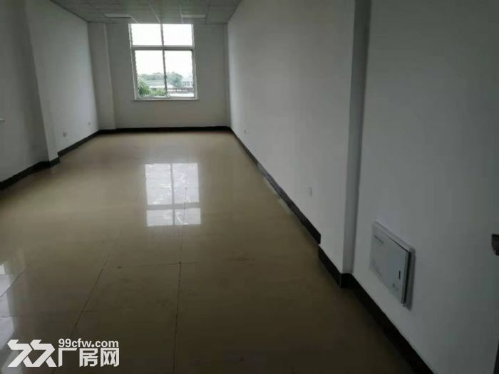 招商外贸企业，新埭洁城路500平，可协助办证有专项扶持政策-图2