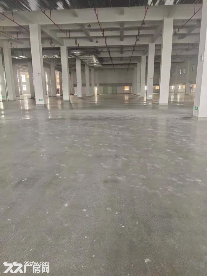 新仓镇多层厂房出租8500平，带大货梯，大挂车可直接上楼-图3