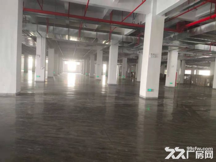 新仓镇多层厂房出租8500平，带大货梯，大挂车可直接上楼-图2